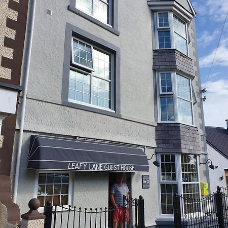 Amlwch Leafy Lane Guesthouse מראה חיצוני תמונה
